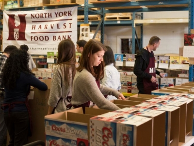 BrandActive Food Sorts.jpg