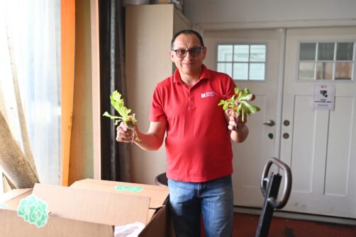 A person wearing a red North York Harvest Food Bank shirt holds lettuce in a warehouse setting.