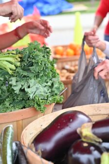 Hands are visible picking out produce including eggplant at an outdoor green market.