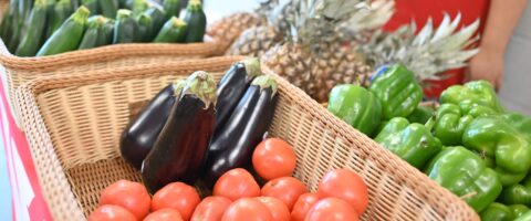 A basket filled with tomatoes and eggplant sits on display table.