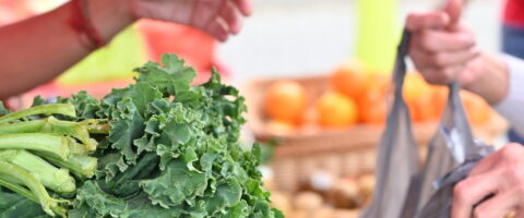 Fresh produce at an outdoor market is visible as one person hands a market attendee a plastic bag full of fruits and vegetables.