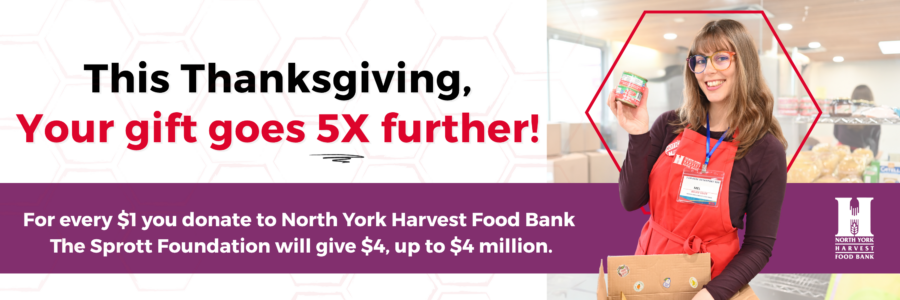 A woman in a red North York Harvest Food Bank apron holds up a can of food with boxes and shelves around her. In the background, other volunteers are working at the food bank. Text below the image: "This Thanksgiving, Your Gift Goes 5X further! For every $1 you gift to North York Harvest Food Bank, The Sprott Foundation will give $4 up to $4 million