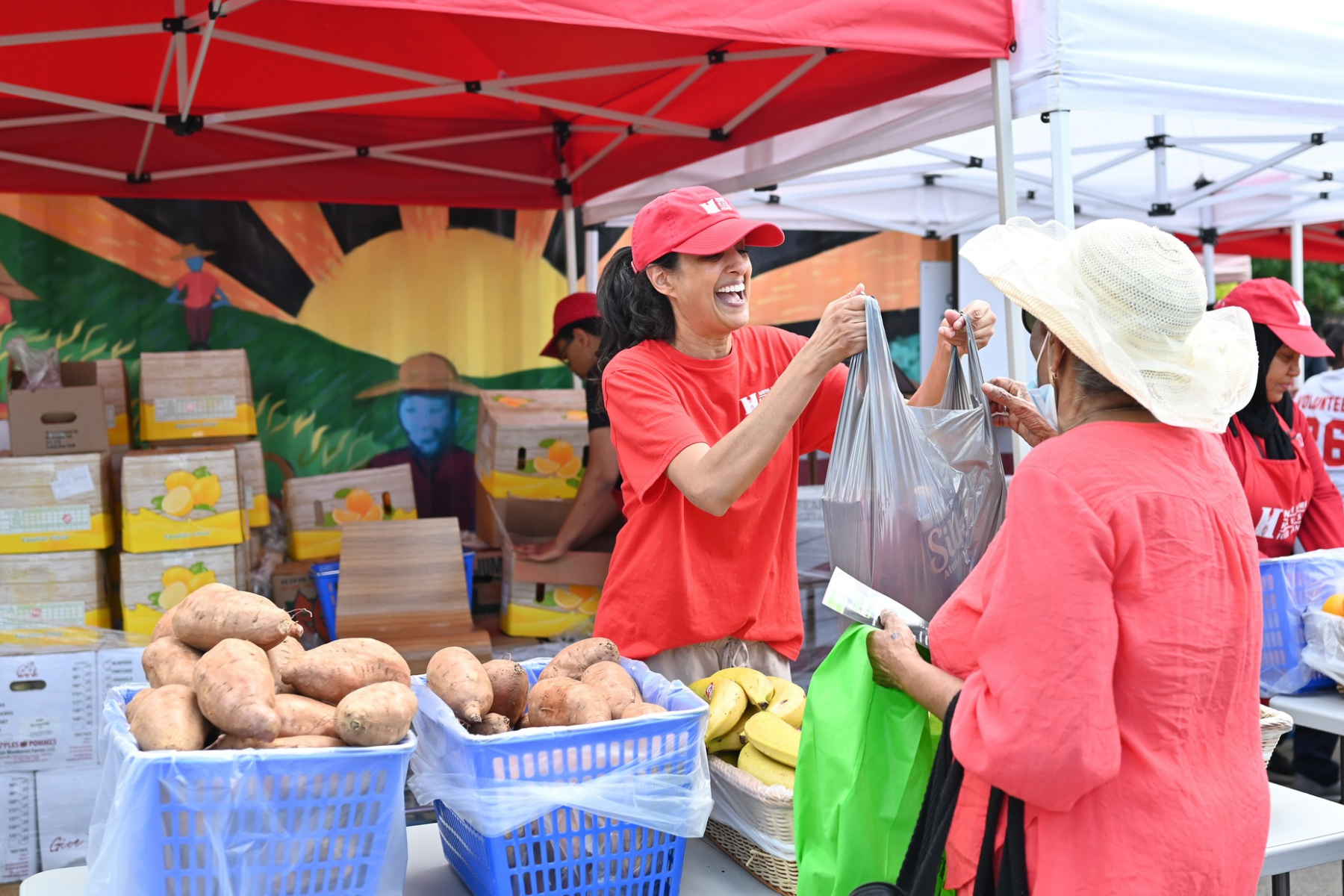 A person in a red North York Harvest Food Bank hat and shirt hands a bag of fresh vegetables to a community member at an outdoor produce market.